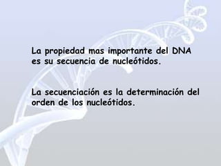 La propiedad mas importante del DNA
es su secuencia de nucleótidos.


La secuenciación es la determinación del
orden de los nucleótidos.
 