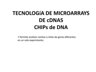 TECNOLOGíA DE MICROARRAYS
        DE cDNAS
       CHIPs de DNA
 • Permite analizar cientos o miles de genes diferentes
 en un solo experimento.
 