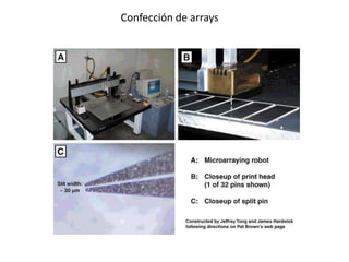 Confección de arrays
 