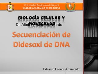 Universidad Autónoma de Nayarit
    UNIDAD ACADÉMICA DE MEDICINA



 Biología Celular y
       Molecular
Dr. Alberto Pizarro Gallardo




                     Edgardo Leonor Arrambide
 