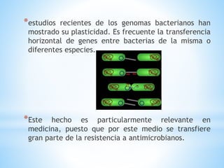 *estudios recientes de los genomas bacterianos han 
mostrado su plasticidad. Es frecuente la transferencia 
horizontal de genes entre bacterias de la misma o 
diferentes especies. 
*Este hecho es particularmente relevante en 
medicina, puesto que por este medio se transfiere 
gran parte de la resistencia a antimicrobianos. 
 
