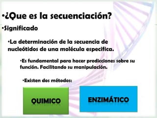 •¿Que es la secuenciación?
•Significado
  •La determinación de la secuencia de
  nucleótidos de una molécula especifica.
      •Es fundamental para hacer predicciones sobre su
      función. Facilitando su manipulación.

       •Existen dos métodos:
 