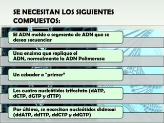 SE NECESITAN LOS SIGUIENTES
COMPUESTOS:
El ADN molde o segmento de ADN que se
desea secuenciar

Una enzima que replique el
ADN, normalmente la ADN Polimerasa


Un cebador o "primer“


Los cuatro nucleótidos trifosfato (dATP,
dCTP, dGTP y dTTP)

Por último, se necesitan nucleótidos didesoxi
(ddATP, ddTTP, ddCTP y ddGTP)
 