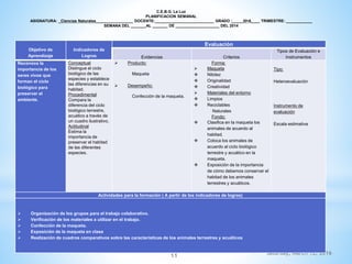 Saturday, March 12, 2016
11
Objetivo de
Aprendizaje
Indicadores de
Logros
Evaluación
Evidencias Criterios
Tipos de Evaluación e
Instrumentos
Reconoce la
importancia de los
seres vivos que
forman el ciclo
biológico para
preservar el
ambiente.
Conceptual
Distingue el ciclo
biológico de las
especies y establece
las diferencias en su
habitad.
Procedimental
Compara la
diferencia del ciclo
biológico terrestre,
acuático a través de
un cuadro ilustrativo.
Actitudinal
Estima la
importancia de
preservar el habitad
de las diferentes
especies.
 Producto:
Maqueta
 Desempeño:
Confección de la maqueta.
Forma:
 Maqueta
 Nitidez
 Originalidad
 Creatividad
 Materiales del entorno
 Limpios
 Reciclables
Naturales
Fondo:
 Clasifica en la maqueta los
animales de acuerdo al
habitad.
 Coloca los animales de
acuerdo al ciclo biológico
terrestre y acuático en la
maqueta.
 Exposición de la importancia
de cómo debemos conservar el
habitad de los animales
terrestres y acuáticos.
Tipo:
Heteroevaluación
Instrumento de
evaluación
Escala estimativa
Actividades para la formación ( A partir de los indicadores de logros)
 Organización de los grupos para el trabajo colaborativo.
 Verificación de los materiales a utilizar en el trabajo.
 Confección de la maqueta.
 Exposición de la maqueta en clase
 Realización de cuadros comparativos sobre las características de los animales terrestres y acuáticos
C.E.B.G. La Luz
PLANIFICACION SEMANAL
ASIGNATURA: _Ciencias Naturales_________________ DOCENTE:___________________________ GRADO :_____IIIºA____ TRIMESTRE: ____________
SEMANA DEL _______AL _______ DE ____________________ DEL 2014
 