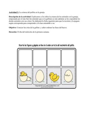Actividad 3: La crianza del pollito en la granja.
Descripción de la actividad: Explicamos a los niños la crianza de los animales en la granja,
empezando por el más fácil de entender que es la gallina( ya más adelante se les expondrán los
demás animales con sus crías). Se elaborará la ficha siguiente para que la recorten y la peguen
según corresponda para comprender si lo han entendido o no.
Objetivo: Conocer las crías de la gallina y saber ordenar las fases del huevo.
Duración: El día del miércoles de la primera semana.
 