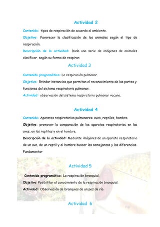 Actividad 2
Contenido: tipos de respiración de acuerdo al ambiente.

Objetivo: Favorecer la clasificación de los animales según el tipo de

respiración.

Descripción de la actividad: Dada una serie de imágenes de animales

clasificar según su forma de respirar.

                               Actividad 3

Contenido programático: La respiración pulmonar.

Objetivo: Brindar instancias que permitan el reconocimiento de las partes y

funciones del sistema respiratorio pulmonar.

Actividad: observación del sistema respiratorio pulmonar vacuno.



                                   Actividad 4
Contenido: Aparatos respiratorios pulmonares: aves, reptiles, hombre.

Objetivo: promover la comparación de los aparatos respiratorios en las

aves, en los reptiles y en el hombre.

Descripción de la actividad: Mediante imágenes de un aparato respiratorio

de un ave, de un reptil y el hombre buscar las semejanzas y las diferencias.

Fundamentar



                               Actividad 5

Contenido programático: La respiración branquial.

Objetivo: Posibilitar el conocimiento de la respiración branquial.

Actividad: Observación de branquias de un pez de río.



                               Actividad 6
 