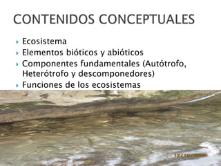 Secuencia didactica sobre los ecosistemas