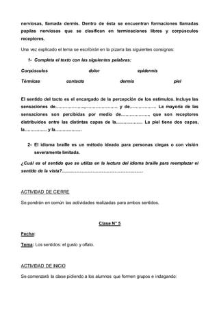 nerviosas, llamada dermis. Dentro de ésta se encuentran formaciones llamadas
papilas nerviosas que se clasifican en terminaciones libres y corpúsculos
receptores.
Una vez explicado el tema se escribirán en la pizarra las siguientes consignas:
1- Completa el texto con las siguientes palabras:
Corpúsculos dolor epidermis
Térmicas contacto dermis piel
El sentido del tacto es el encargado de la percepción de los estímulos. Incluye las
sensaciones de………………..,…………………. y de……………… La mayoría de las
sensaciones son percibidas por medio de……………….. que son receptores
distribuidos entre las distintas capas de la……………… La piel tiene dos capas,
la…………… y la………………
2- El idioma braille es un método ideado para personas ciegas o con visión
severamente limitada.
¿Cuál es el sentido que se utiliza en la lectura del idioma braille para reemplazar el
sentido de la vista?...................................................................
ACTIVIDAD DE CIERRE
Se pondrán en común las actividades realizadas para ambos sentidos.
Clase N° 5
Fecha:
Tema: Los sentidos: el gusto y olfato.
ACTIVIDAD DE INICIO
Se comenzará la clase pidiendo a los alumnos que formen grupos e indagando:
 
