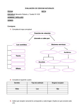 EVALUACIÓN DE CIENCIAS NATURALES
FECHA: NOTA:
ESCUELA: Monseñor Roberto J. Tavella N° 4135
NOMBRE Y APELLIDO:
GRADO:
Consignas:
1- Completa el mapa conceptual
Llevada a cabo por
2- Completa el siguiente cuadro:
Sentido Tipo de estimulo Órgano receptor
Vista Luz Ojo
3- Indicá qué receptor sensorial le corresponde a cada imagen. Explica en qué consiste cada
uno.
Función de relación
Sistema nerviosoLos sentidos
Olfato
Tacto
Periférico
Encéfalo
 