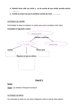 4- Damián toma café con leche y se da cuenta de que olvidó ponerle azúcar.
………….
5- Camila se entera de que el semáforo cambió de color. ……………
ACTIVIDAD DE CIERRE
Para finalizar la clase se realizará un cuadro para que lo completen entre todos.
Completen el siguiente cuadro:
Llevada a cabo por
Captan Sirven para
¿Qué son?
Órganos en que se ubican
Clase N° 2
Fecha:
Tema: Los sentidos: Percepción sensorial
ACTIVIDAD DE INICIO
Se comenzará la clase con una breve indagación sobre lo visto la clase anterior:
Funciónde relación
Sistema nerviosoLos sentidos
 