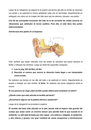 Luego de la indagación se pegará en la pizarra una lámina del oído en donde se observen
sus partes y se explicará la misma señalando cada una sin escribirlas. Seguidamente se
entregará una copia con la imagen del oído para que los alumnos marquen sus partes.
Una de las principales funciones del oído es la de convertir las ondas sonoras en
vibraciones que estimulen el nervio auditivo. Para ello, el oído tiene tres partes
interconectadas.
Señala esas tres partes en el esquema.
Para verificar que hayan colocado bien las partes se solicitará que pasen alumnos al
frente y coloquen los nombres. Luego se darán las siguientes consignas:
1- Leer la pág. 242 del libro de 6to.
2- Describir el camino que recorre la vibración hasta llegar a ser interpretado
como sonido.
Se realizará una lectura en voz alta del texto y se explicará el mismo. Seguidamente se
pasará a trabajar con otro sentido: el tacto. Se realizará una breve indagación sobre el
mismo.
Si una persona es ciega ¿Qué sentido puede utilizar para remplazar la visión?
¿Dónde creen que está ubicado el sentido del tacto?
¿Escucharon alguna vez la palabra dermis y epidermis?
Luego de la indagación se procederá a explicar
El sentido del tacto está ubicado en la piel, siendo está el órgano más grande del
cuerpo que actúa como un enorme sensor que percibe todo lo que sucede en el
ambiente. La piel está formada por dos capas: una externa y delgada, la epidermis;
y otra interna y gruesa, con gran cantidad de vasos sanguíneos y terminaciones
 