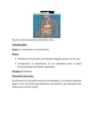 De este modo damos por concluida la clase.
Tercera clase
Tema: Los alimentos y su importancia.
Metas:
• Identificar las funciones del intestino delgado, grueso, recto, ano.
• Comprender la importancia de los alimentos para el buen
funcionamiento de nuestro organismo.
Módulo: 80 minutos.
Desarrollo de la clase.
Se colocará en el pizarrón una serie de alimentos. Los alumnos deberán
pasar y unir con flecha que alimentos son buenos y que alimentos son
malos para nuestro cuerpo.
 