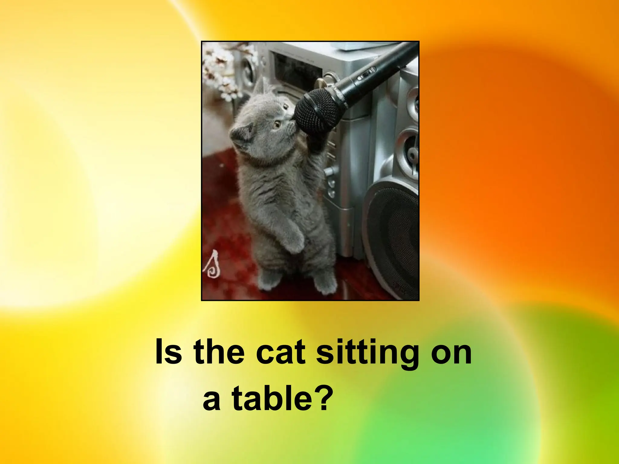 Is the cat sitting on
a table?
 