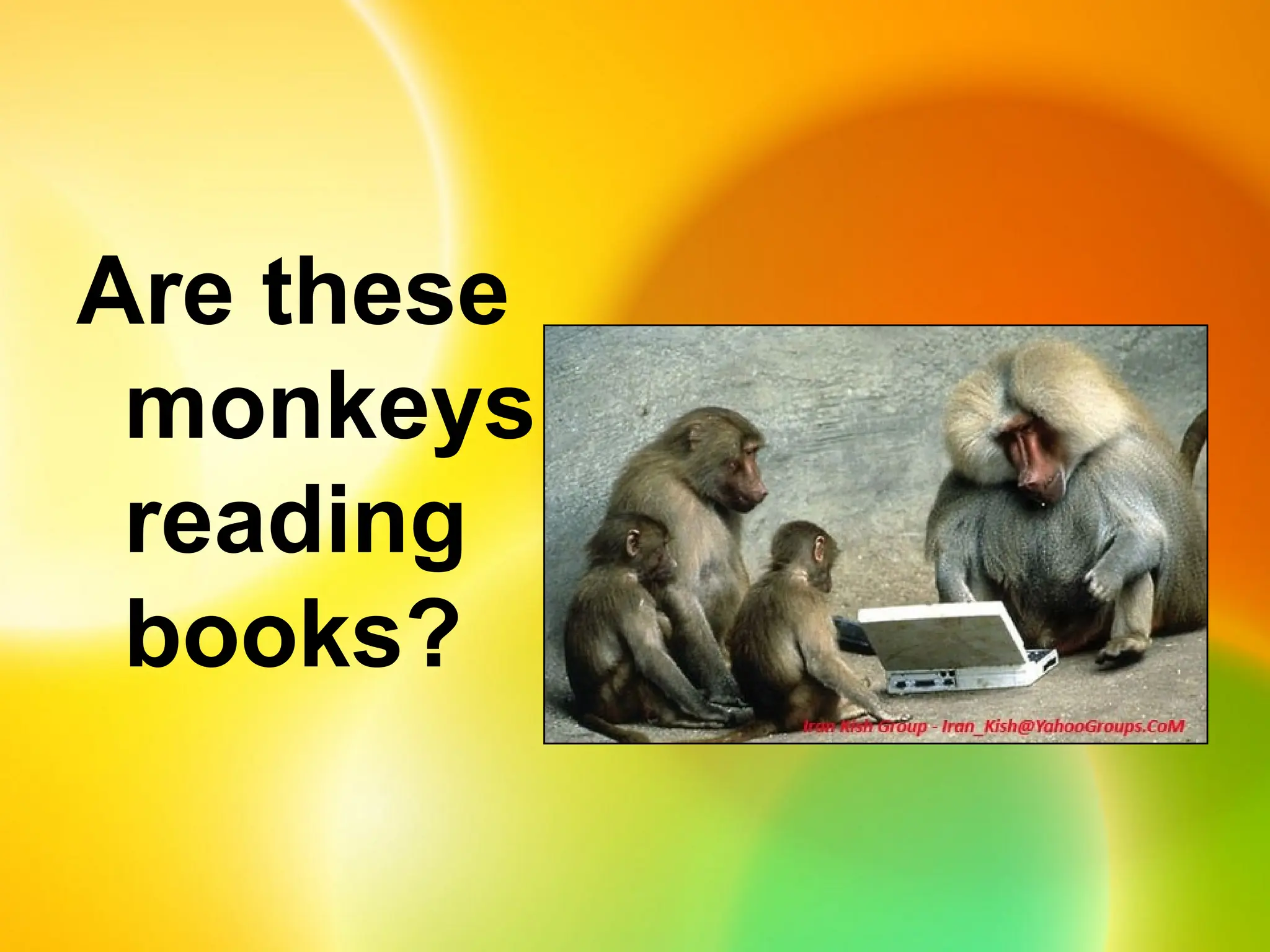 Are these
monkeys
reading
books?
 