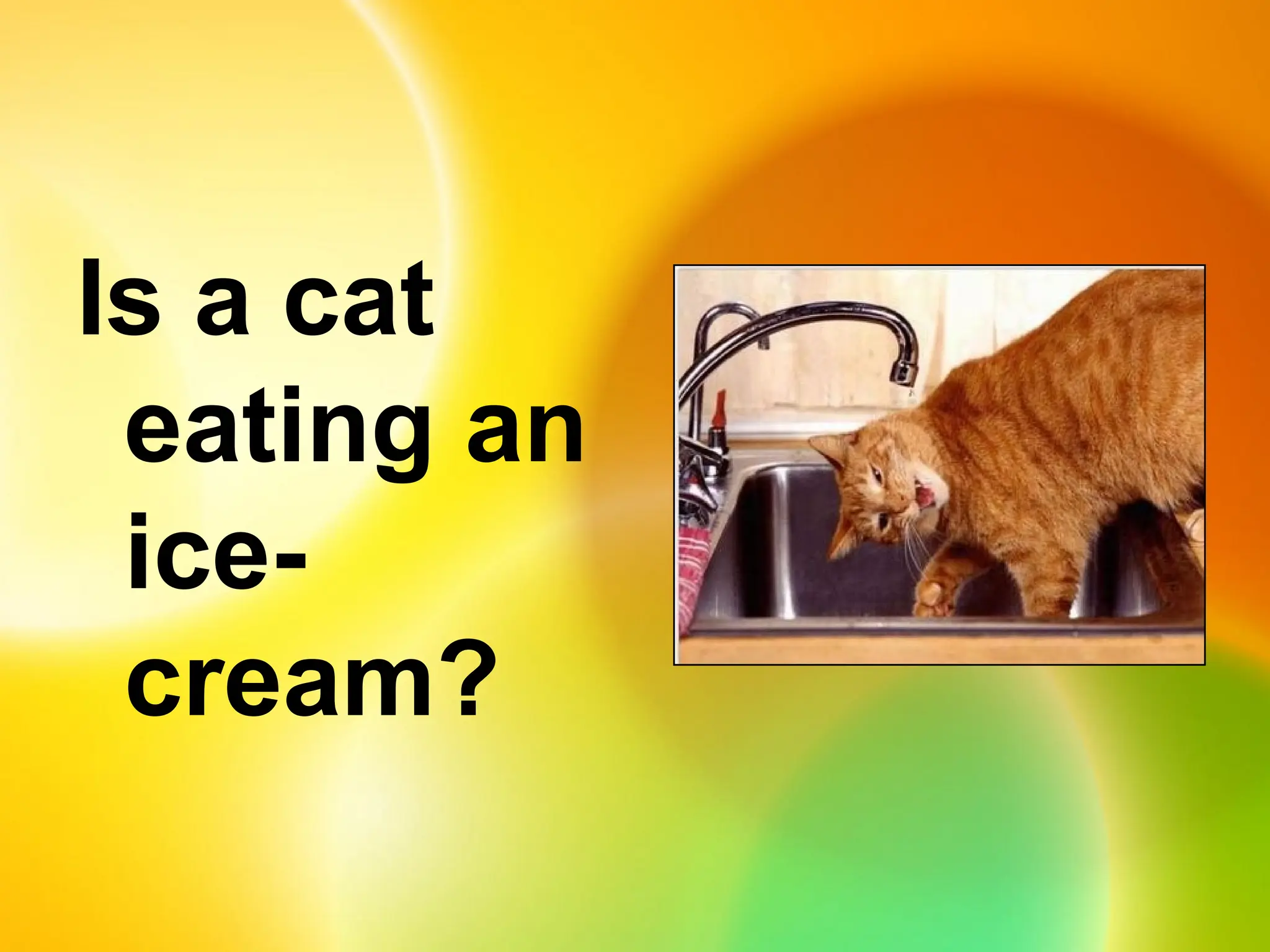 Is a cat
eating an
ice-
cream?
 