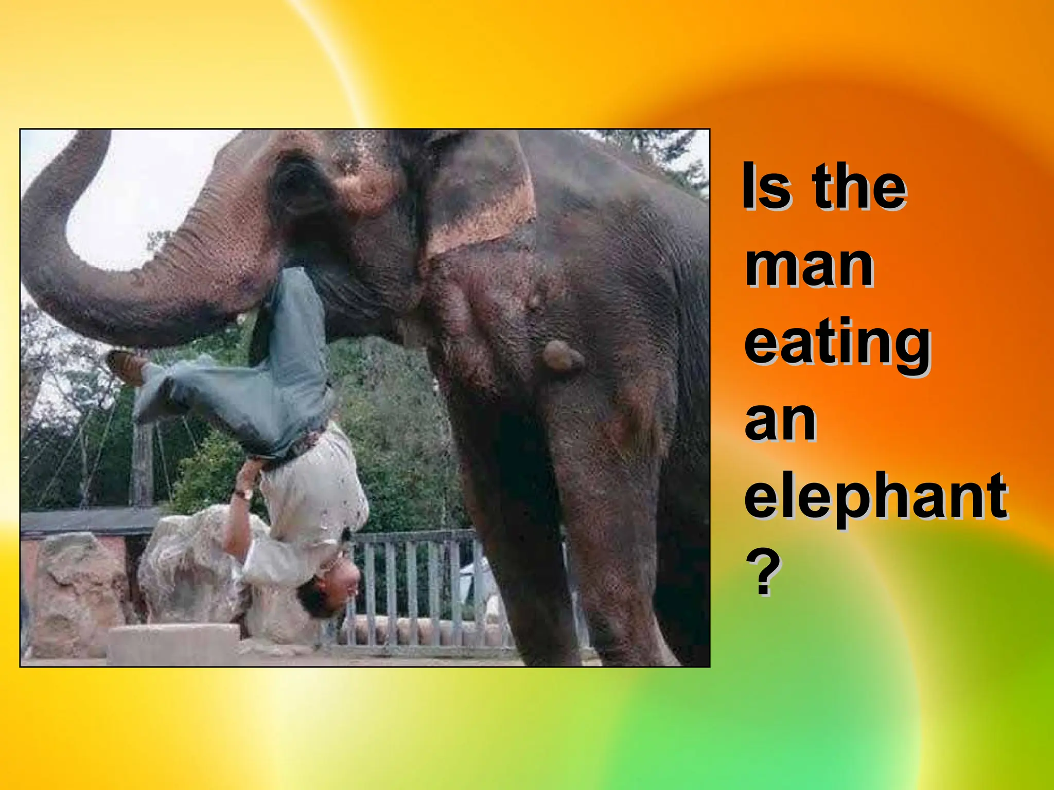 Is the
Is the
man
man
eating
eating
an
an
elephant
elephant
?
?
 