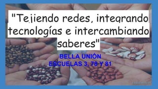 "Tejiendo redes, integrando
tecnologías e intercambiando
saberes"
BELLA UNIÓN
ESCUELAS 3, 78 Y 81
 