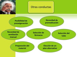 Necesidad de premedicaciónPosibilidad de preoxigenaciónOtras conductasSelección de fármacosNecesidad de ventilación manualSelección del tuboPreparación del materialElección de un plan alternativo