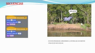 SECUENCIAS
Son los pasos a seguir por parte del objeto,
Se hace pensando sistemáticamente en las acciones
que vaya ejecutar el objeto en el escenario .
EN ESTES PROGRAMA APRENDIMOS A CONTROLAR LOS OBJETOS
ATRAVES DE SECUENCIAS.