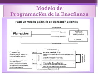 Modelo de
Programación de la Enseñanza
 