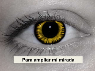 Para ampliar mi mirada
 