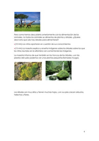 9
Pero como hemos descubierto anteriormente con la alimentación de los
animales, no todos los animales se alimentas de plantas y árboles. ¿Quiere
decir esto que solo hay árboles para alimentarse?
(10 min)-Los niños aportaran en cuestión de sus conocimientos
(15 min)-La maestra explica y enseña imágenes sobre los árboles sobre los que
los niños reunidos en la alfombra van comentando las imágenes.
La maestra informa de que también en los troncos de los árboles, y en las
piedras del suelo podemos ver unas plantas pequeñas llamadas musgos.
Los árboles son muy altos y tienen muchas hojas, y en sus pies crecen arbustos,
helechos y flores.
 