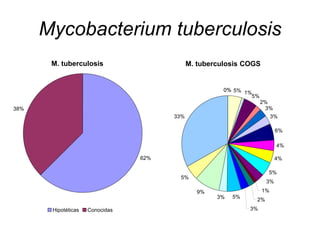 Mycobacterium tuberculosis
M. tuberculosis
62%
38%
Hipotéticas Conocidas
M. tuberculosis COGS
0%
0% 5% 1%
5%
2%
3%
3%
6%
4%
4%
5%
3%
1%
2%
3%
5%
3%
9%
5%
33%
 