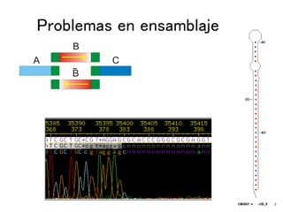 Problemas en ensamblaje
A
B
C
B
 