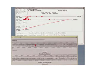 Secuencias Genoma.ppt