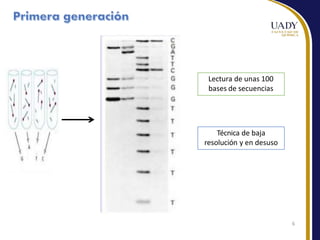 Lectura de unas 100
bases de secuencias
Técnica de baja
resolución y en desuso
6
 