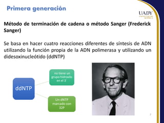 Método de terminación de cadena o método Sanger (Frederick
Sanger)
Se basa en hacer cuatro reacciones diferentes de síntesis de ADN
utilizando la función propia de la ADN polimerasa y utilizando un
didesoxinucleótido (ddNTP)
ddNTP
no tiene un
grupo hidroxilo
en el 3´
Un dNTP
marcado con
32P
7
 