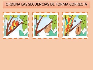ORDENA LAS SECUENCIAS DE FORMA CORRECTA
1 2 3
 