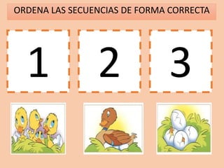 ORDENA LAS SECUENCIAS DE FORMA CORRECTA
1 2 3
 