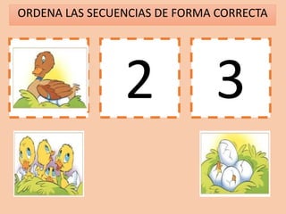 ORDENA LAS SECUENCIAS DE FORMA CORRECTA
1 2 3
 