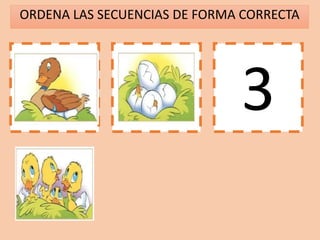ORDENA LAS SECUENCIAS DE FORMA CORRECTA
1 2 3
 