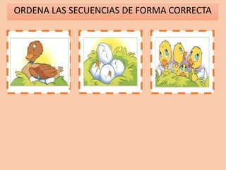 ORDENA LAS SECUENCIAS DE FORMA CORRECTA
1 2 3
 
