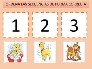 ORDENA LAS SECUENCIAS DE FORMA CORRECTA
1 2 3
 