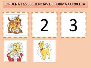 ORDENA LAS SECUENCIAS DE FORMA CORRECTA
1 2 3
 