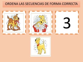 ORDENA LAS SECUENCIAS DE FORMA CORRECTA
1 2 3
 