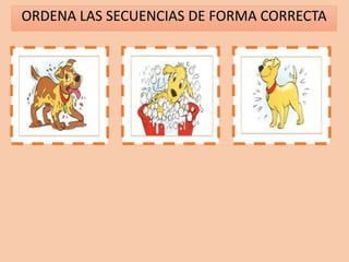 ORDENA LAS SECUENCIAS DE FORMA CORRECTA
1 2 3
 