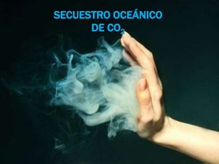 SECUESTRO OCEÁNICO
DE CO2
 