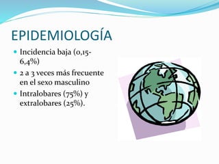 EPIDEMIOLOGÍA
 Incidencia baja (0,15-
6,4%)
 2 a 3 veces más frecuente
en el sexo masculino
 Intralobares (75%) y
extralobares (25%).
 