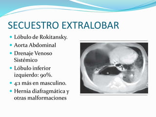 SECUESTRO EXTRALOBAR
 Lóbulo de Rokitansky.
 Aorta Abdominal
 Drenaje Venoso
Sistémico
 Lóbulo inferior
izquierdo: 90%.
 4:1 más en masculino.
 Hernia diafragmática y
otras malformaciones
 
