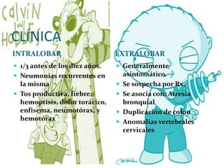 CLÍNICA
INTRALOBAR EXTRALOBAR
 1/3 antes de los diez años.
 Neumonías recurrentes en
la misma
 Tos productiva, fiebre,
hemoptisis, dolor torácico,
enfisema, neumotórax, y
hemotórax
 Generalmente
asintomático.
 Se sospecha por Rx.
 Se asocia con: Atresia
bronquial
 Duplicación de colon
 Anomalías vertebrales
cervicales
 
