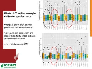 Climate change adaptation strategies in semi-arid Zimbabwe for sustainable intensification of crop-livestock systems