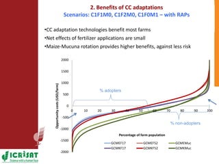 Climate change adaptation strategies in semi-arid Zimbabwe for sustainable intensification of crop-livestock systems