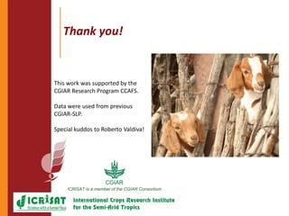 Climate change adaptation strategies in semi-arid Zimbabwe for sustainable intensification of crop-livestock systems