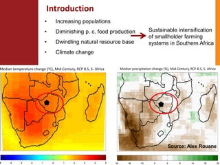 Climate change adaptation strategies in semi-arid Zimbabwe for sustainable intensification of crop-livestock systems