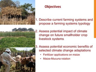 Climate change adaptation strategies in semi-arid Zimbabwe for sustainable intensification of crop-livestock systems
