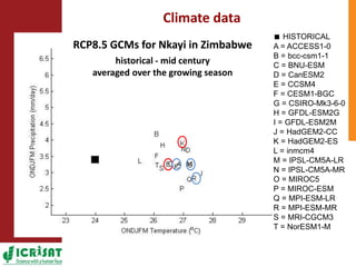 Climate change adaptation strategies in semi-arid Zimbabwe for sustainable intensification of crop-livestock systems